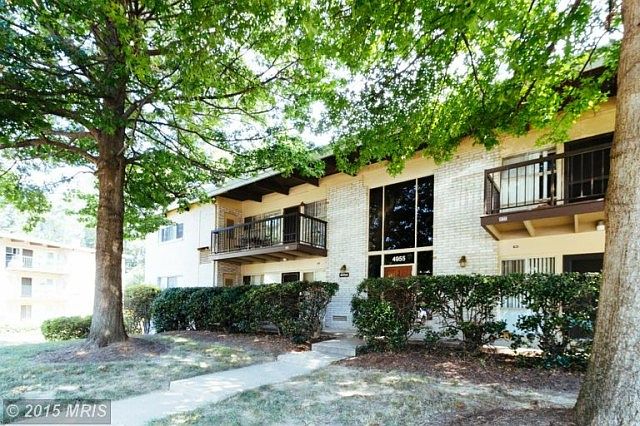1st image of 4955 Americana Dr APT 203