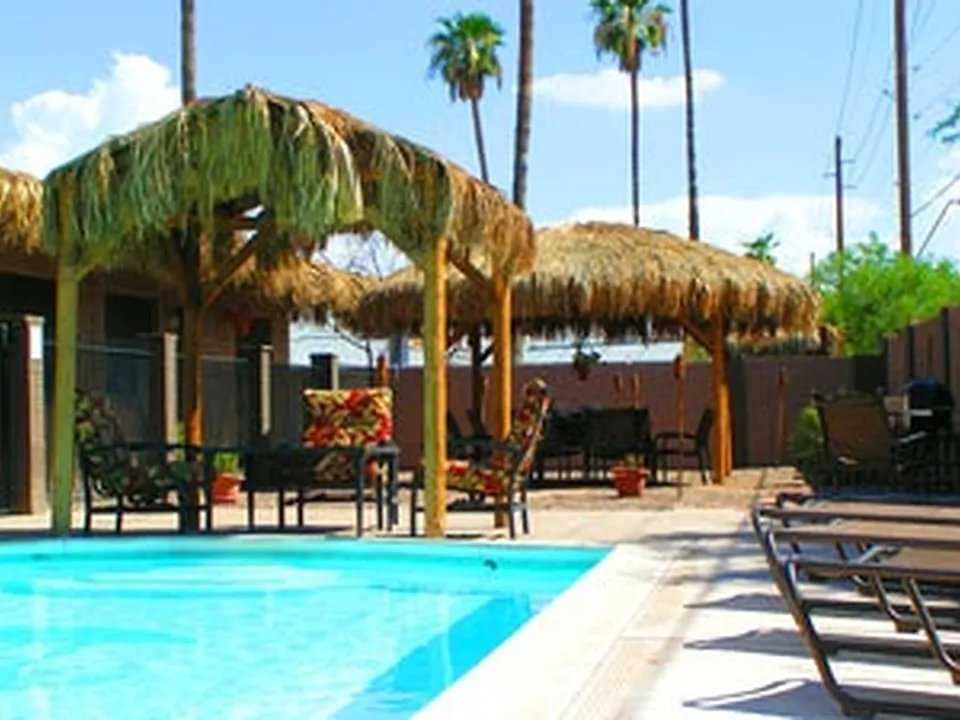 Mockingbird Palms