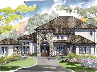 17037 Comunidad De Avila, Lutz, FL 33548
