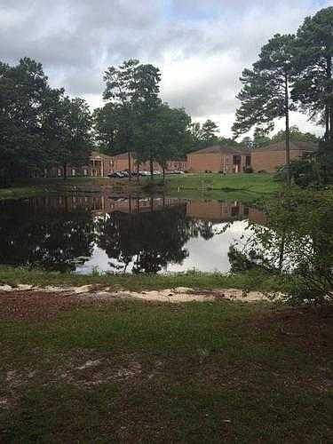 Pond View