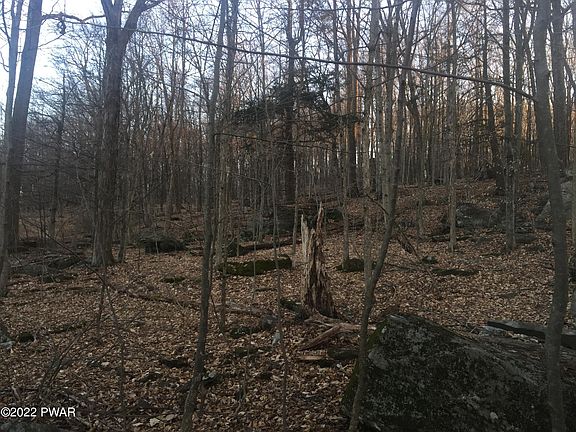 4th image of 231 Holiday Dr