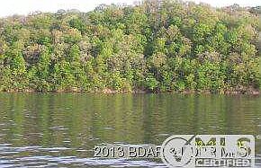 View From Dock