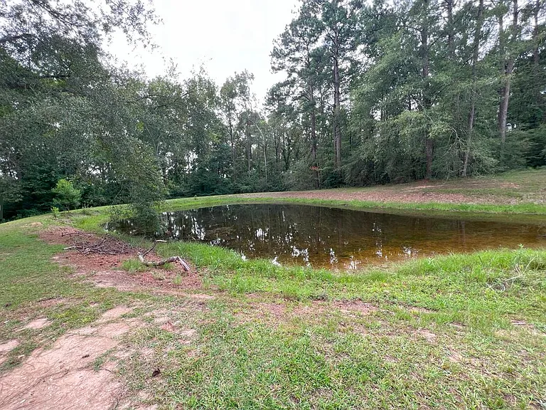 1007 Highway 42 — Photo 16