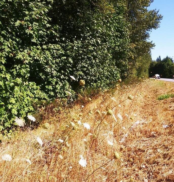 1st image of 0 Us Hwy 12