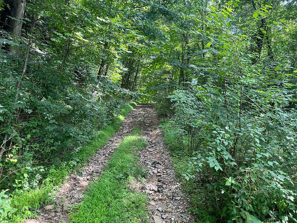 1253 Shawna Rd, Cherry Tree, PA 15724 MLS 11199135 Zillow