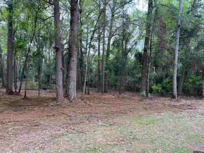 County Road 2603, Pittsburg, TX, 75686