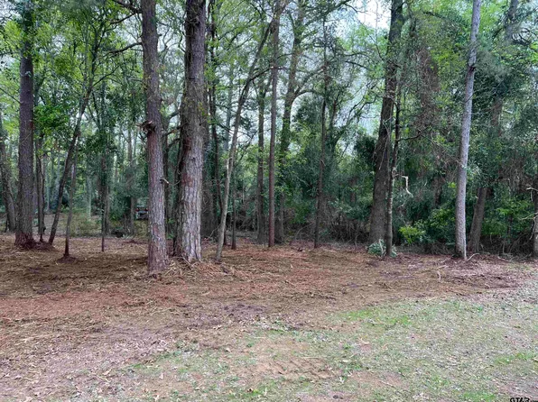 County Road 2603, Pittsburg, TX 75686