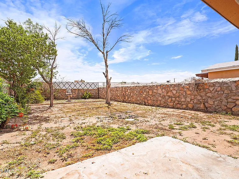 10720 Chert St — Photo 26