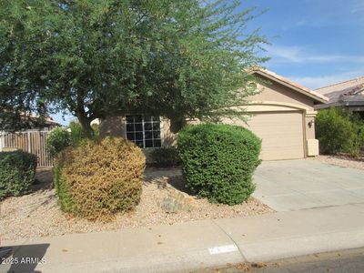 2637 S 156th Ave, Goodyear, AZ, 85338