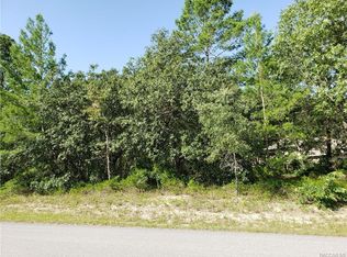 5 Cosmos Dr, Homosassa, FL 34446
