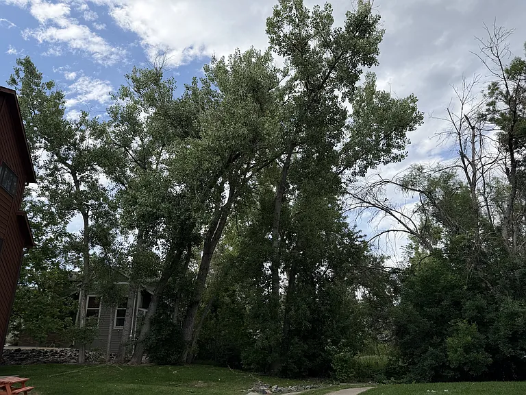 3151 Bell Dr — Photo 33