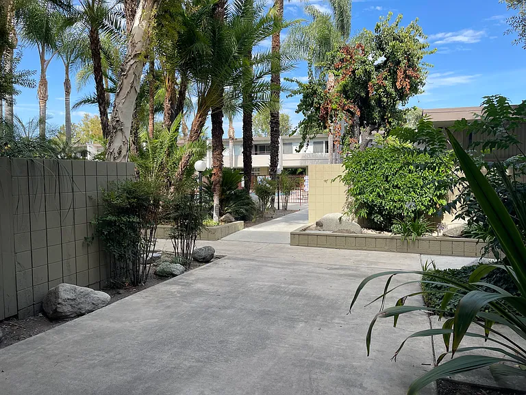 Palm Terrace Apartments — Photo 8