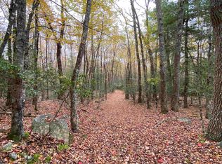 Tbd Halterman Hollow Ln, Monterey, VA 24465