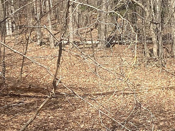 2nd image of 0 Potter Mountain Rd #6