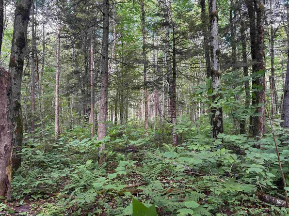 0 Newark Road, Brighton, VT 05846