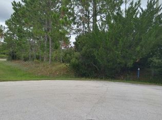 21 Seriema Pl, Palm Coast, FL 32164