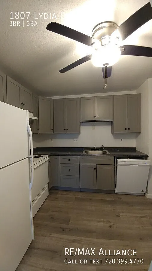 1807 Lydia Drive — Photo 4