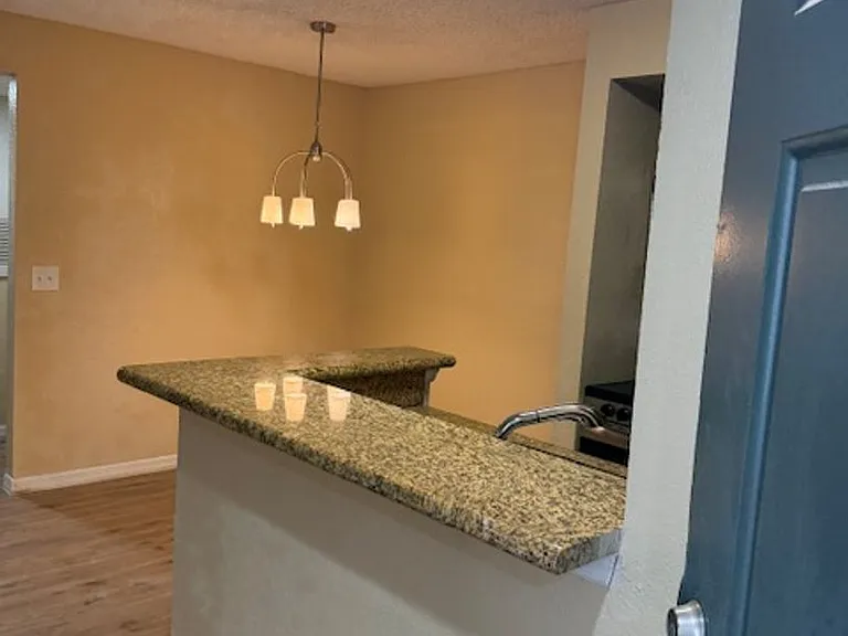 5124 Conroy Rd #613 — Photo 37