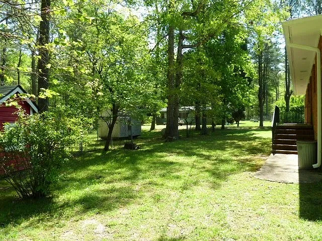 7306 Old Highway 86 — Photo 19