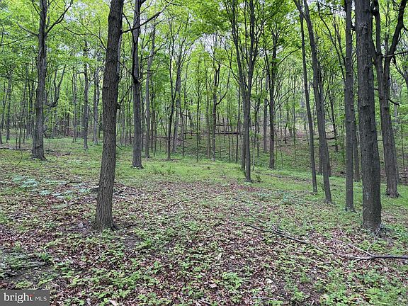 2nd image of 55AC Main Rd