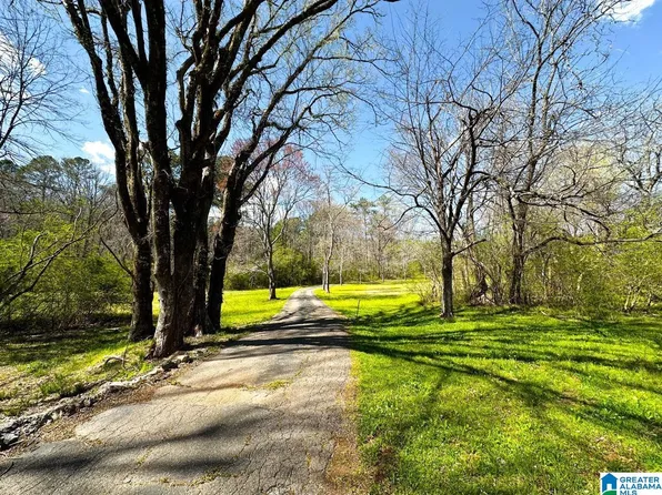 1931 Red Valley Rd, Remlap, AL 35133