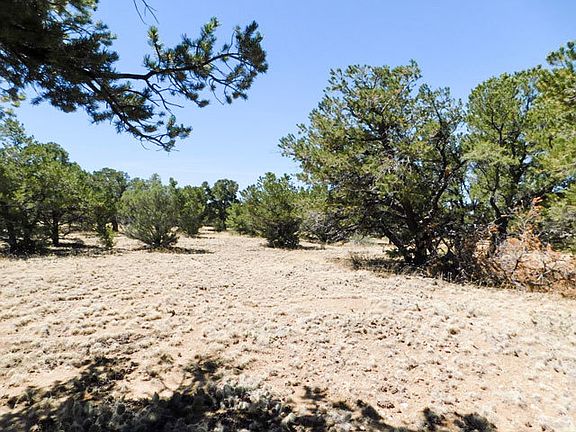 4th image of 104 Eagles Nest Dr
