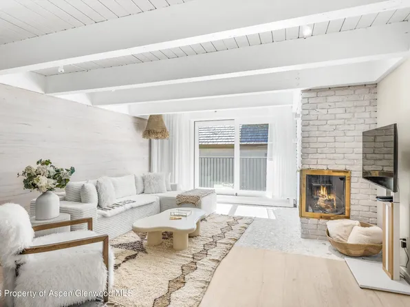 901 E Hyman Ave #14, Aspen, CO 81611