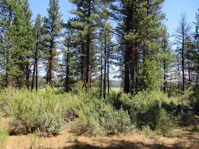 Nka Block 1 Loafers Ln LOT 3, Chiloquin, OR, 97624