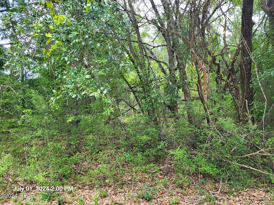 2nd image of 0 Persimmon Ln