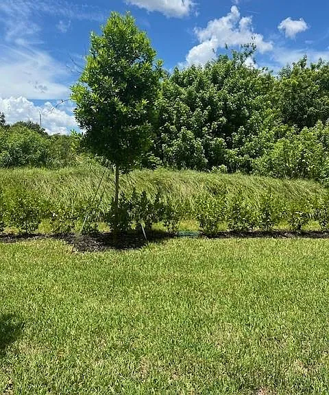 4393 Hammock Grove Dr #4393 — Photo 10