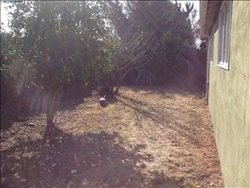 Thumbnail 13