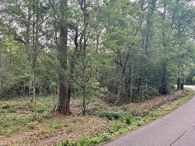 2nd image of 0 N Thibodeaux Rd