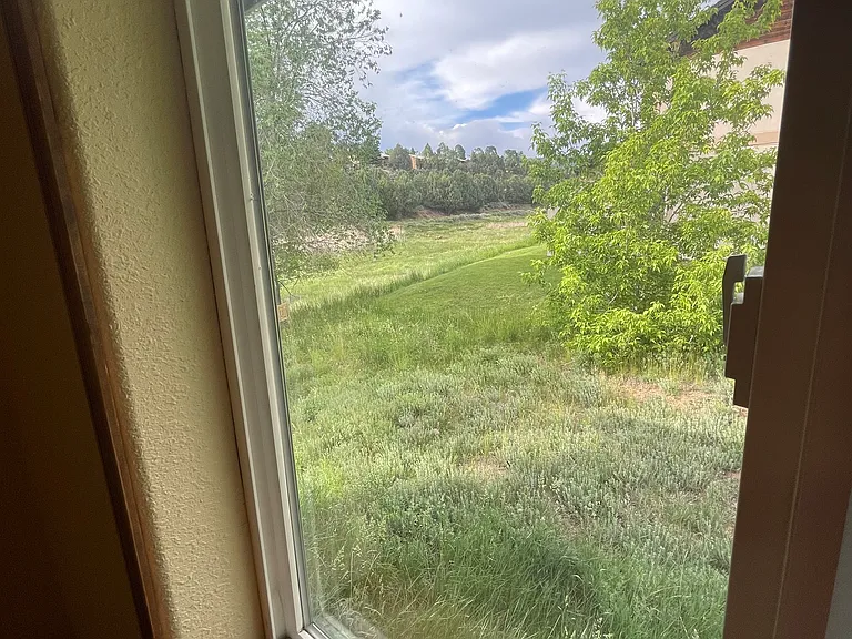 247 Jenkins Ranch Rd — Photo 6