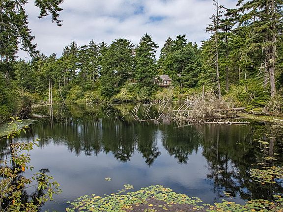 view across lake