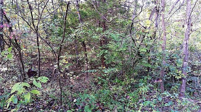 2nd image of 9441 Pea Ridge Dr