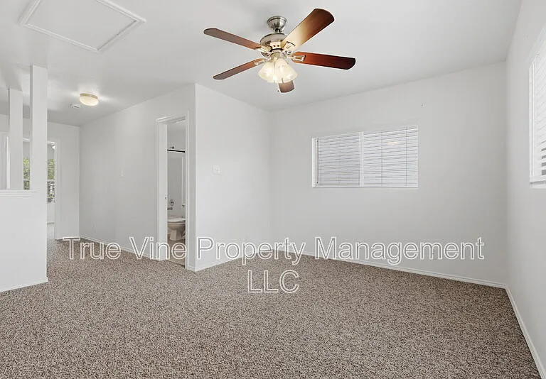 136 Texas Mulberry — Photo 11