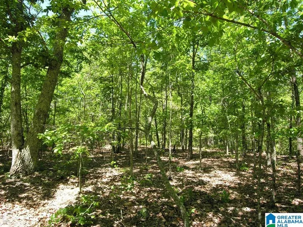 4376 S Shades Crest Rd #2, Bessemer, AL 35022