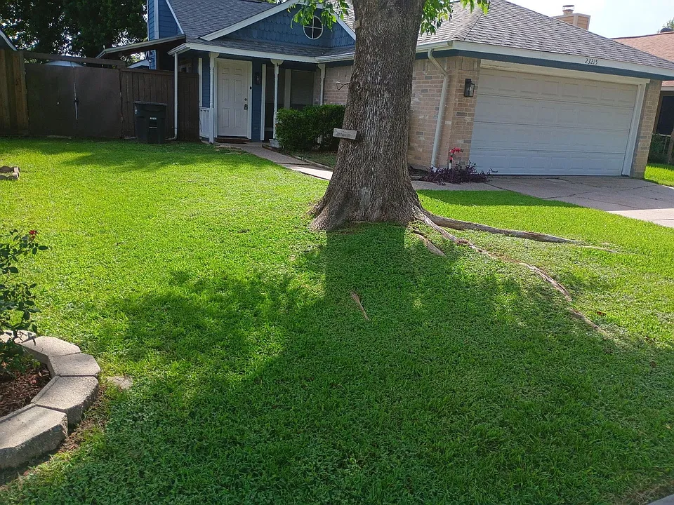 23215 Tree House Ln