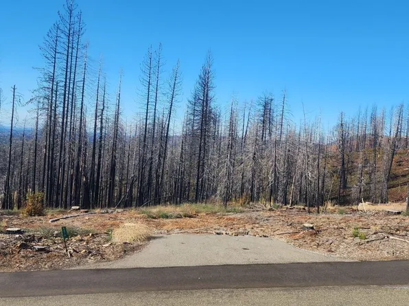 4914 Rollingwood Ct, Grizzly Flats, CA 95636