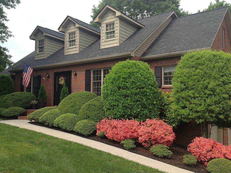 1st image of 209 Bonnie Vista Dr