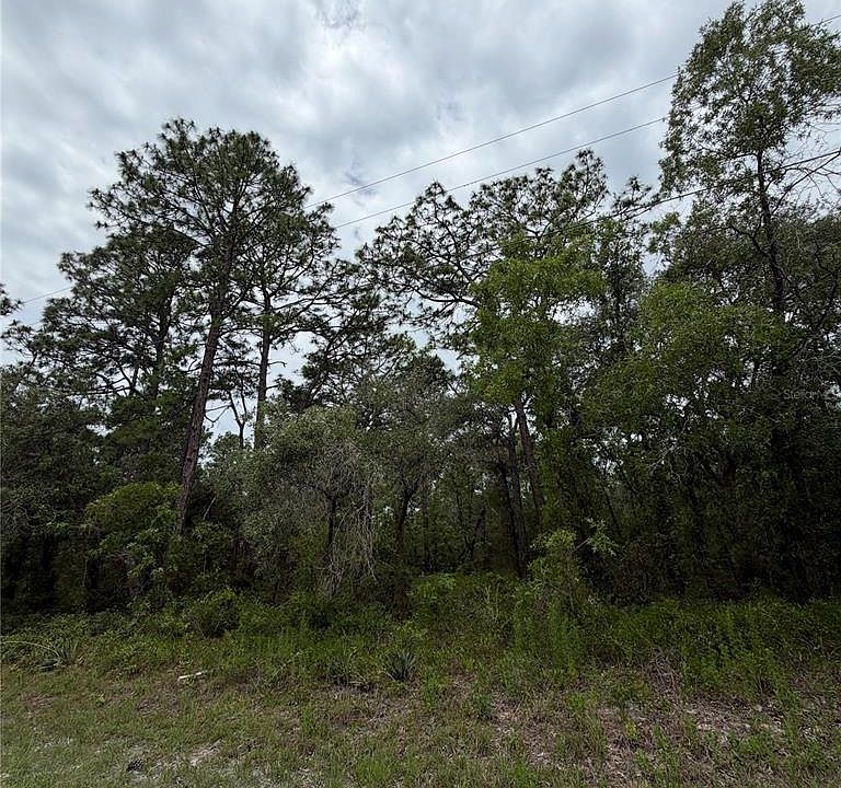 1st image of 18011 Nutcracker Rd Lot 17