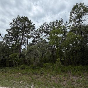 18011 NUTCRACKER ROAD LOT 17, Brooksville, FL, 34614