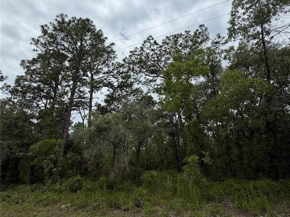 18011 Nutcracker Rd Lot 17, Brooksville, FL 34614