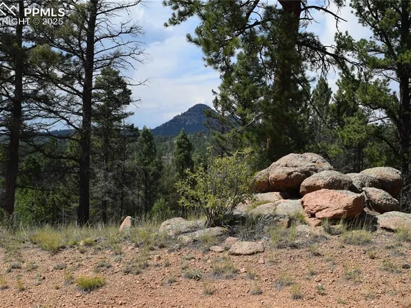 93 Kiowa Creek Trl, Florissant, CO 80816