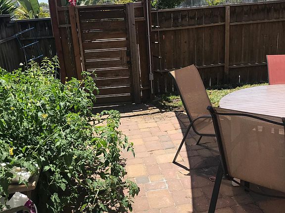 Garden and yard. Bonus: sidewalk chalk!