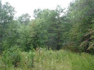 Bluebird Ln, Blue Ridge, GA 30513