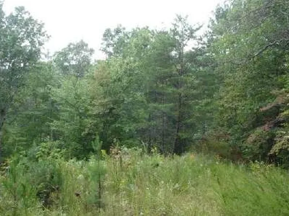 Bluebird Ln, Blue Ridge, GA 30513
