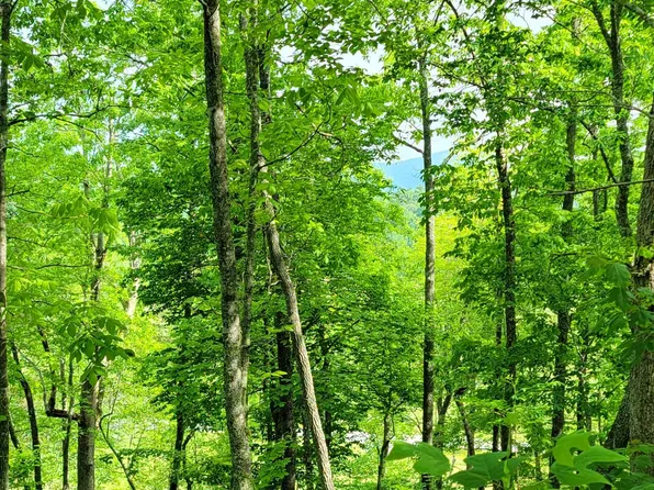 4 Oak Forest Cir, Hayesville, NC 28904