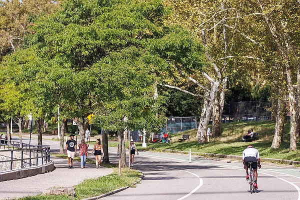 Rented by MNS | media 46