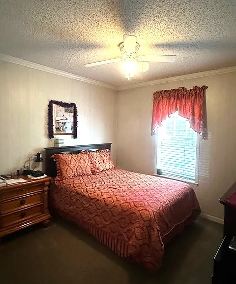 29 Mike Dr — Photo 30